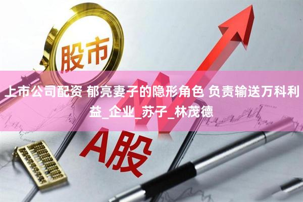 上市公司配资 郁亮妻子的隐形角色 负责输送万科利益_企业_苏子_林茂德